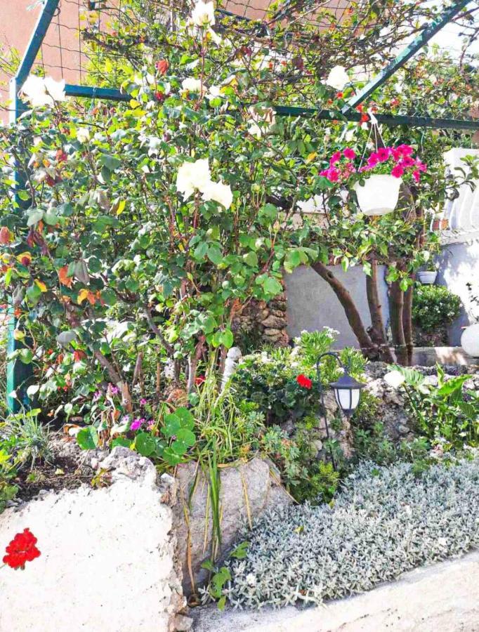 Apartment D&M1 Makarska Exterior foto